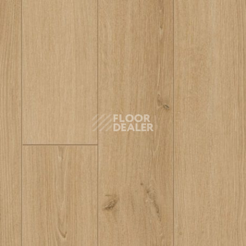Parador Classic 1050 4V 1601445 Дуб Студийный Натуральный фото 2 | FLOORDEALER